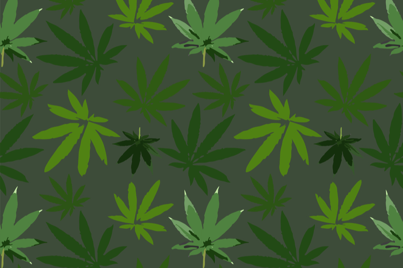 cannabis content marketing is a key tool in b2b marketing for the marijuana industry