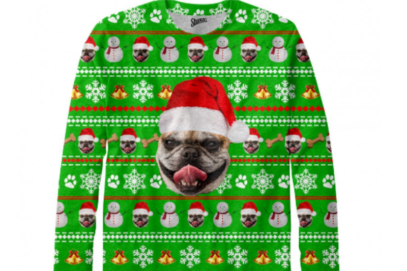 Your Pet Here Ugly Sweater Personalized